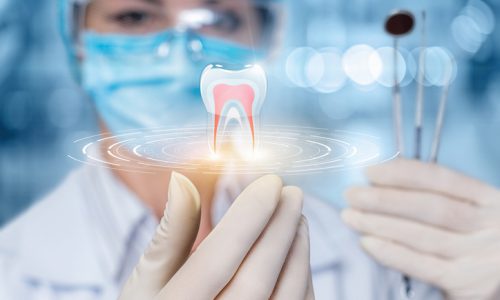 The concept of dental treatment. The doctor looks at the model of the tooth.